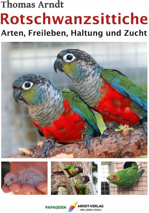 Rotschwanzsittiche (Deutsch, Thomas Arndt, 2022)