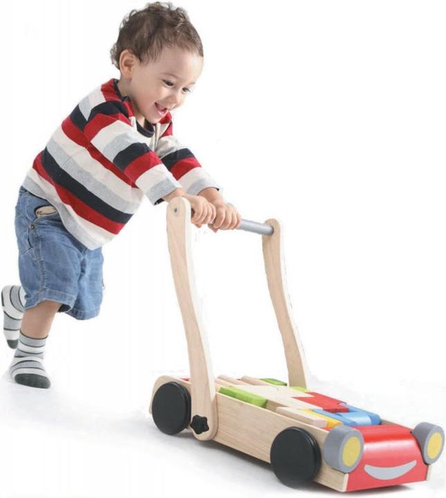 Image du produit Plantoys Aide à la marche du bébé