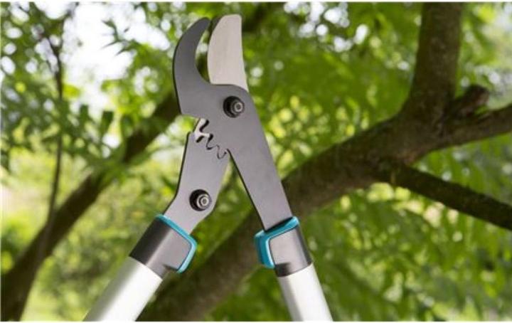 Actual product image Gardena Branch shears EnergyCut 600B