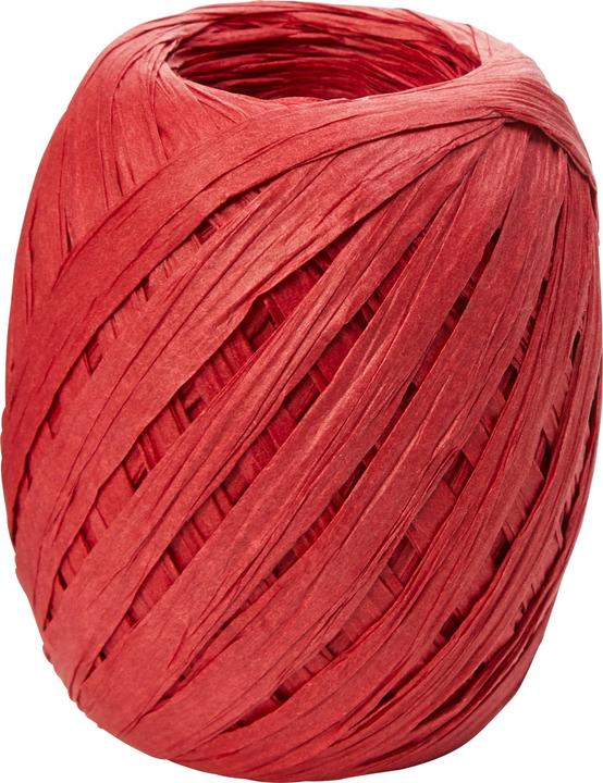 micasa Paper Raffia (Geschenkband)