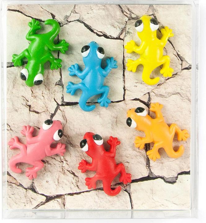 Image du produit Trendform Gecko (6 x)