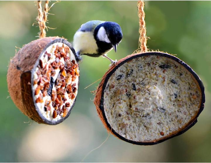 Immagine prodotto Dobar Noce di cocco (10 x, 2.80 kg)