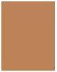 Produktbild Rimmel London Match Perfection Foundation (975F37)