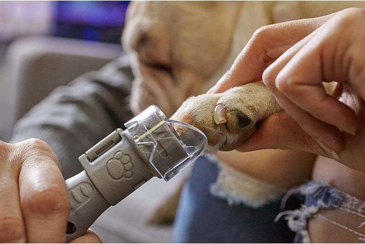 Immagine prodotto Dremel Cura degli artigli degli animali (Cane)