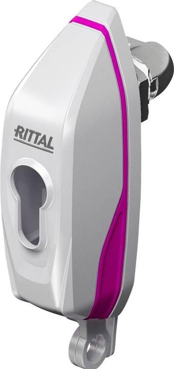 Actual product image Rittal AX 2537.300 Handle for padlock and locking inserts Black 1 pc.