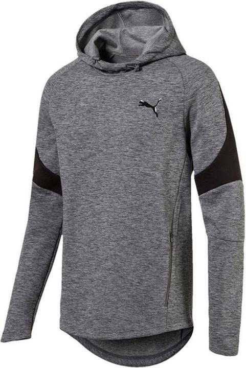 Actual product image Puma Hoodie Evostripe Hoody (L)