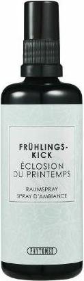 Actual product image Phytomed Spring Kick Room Spray 100 ml (Spray, 100 ml)