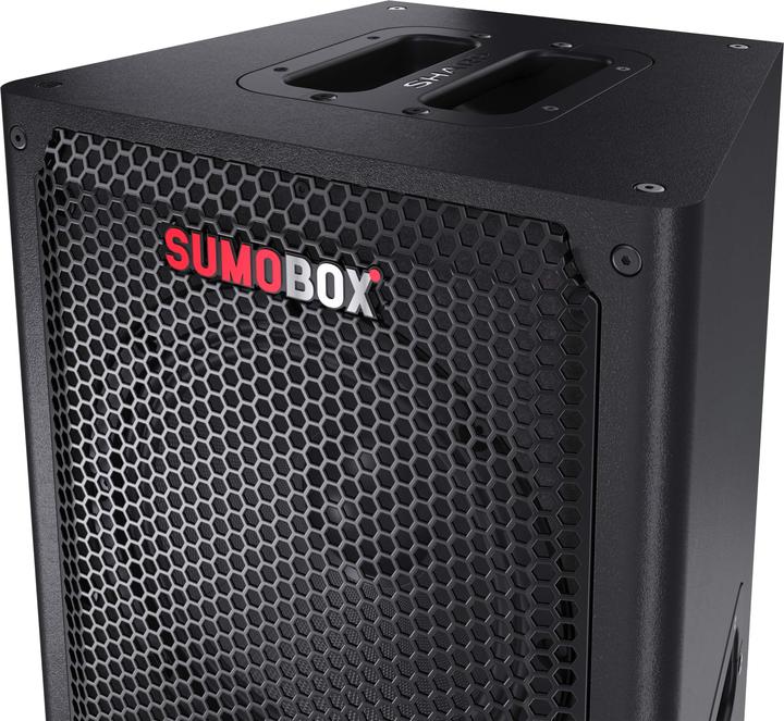 Immagine prodotto Sharp CP-LS100 BT Party Speaker nero (10 h, Batteria ricaricabile, Corrente elettrica)