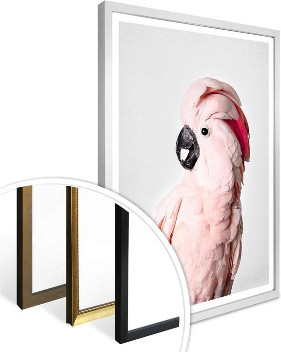 Produktbild Trenddeko Rosa Kakadu (30 x 40 cm)