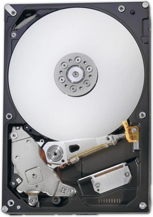Image du produit Fujitsu HDD SATA 6Gb/s 1TB 7200rpm 512e hot-plug 6,4cm 2.5pouces business critical (1 To, 2.5")