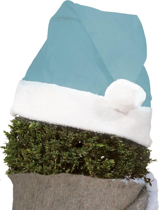 Produktbild Videx Pflanzen-Weihnachtsmütze