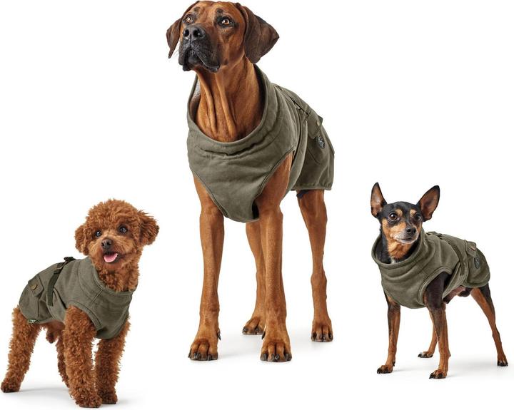 Actual product image Hunter Dog coat Uppsala Trend (60, Dog coat)