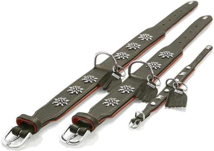 Actual product image Hunter Collar Munich 55/M, cowhide, green/cognac, neck circumference (Dog, General)