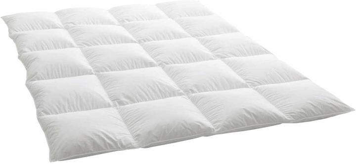 Immagine prodotto Dauny Media Plus Coperta in piuma d'oca (210 x 160 cm)