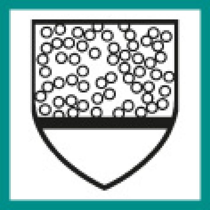 Immagine prodotto Cover protezione chimica globale (XXL)