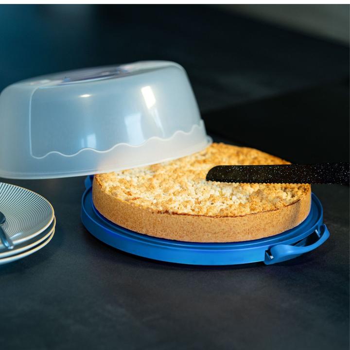 Actual product image Intirilife Cake transport container