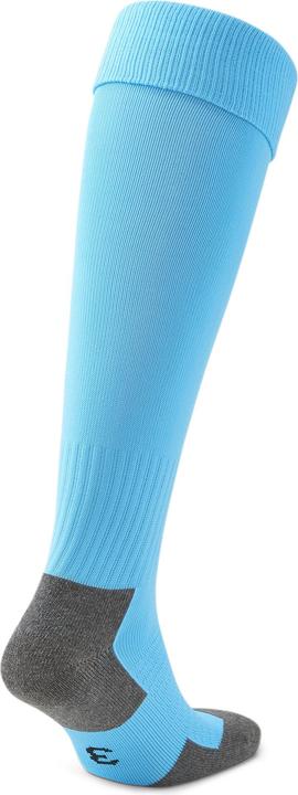 Actual product image Puma Team LIGA Socks CORE-703441 (39, 42)
