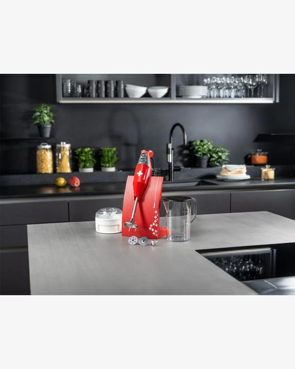 Actual product image Bamix M200 (CH plug)