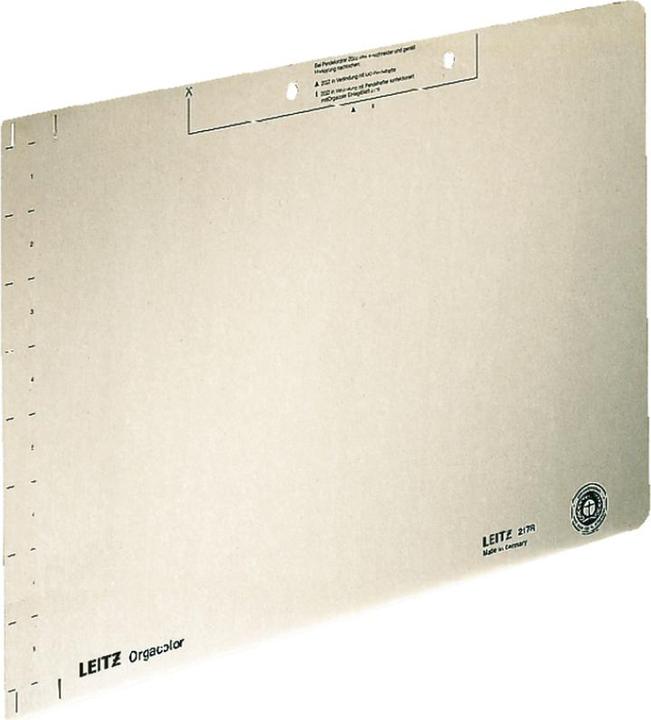 Actual product image Leitz Insert sheet (W)323 x (H)224 mm, chamois Kraft cardboard, 260 gsm, perforation: 80 mm, with