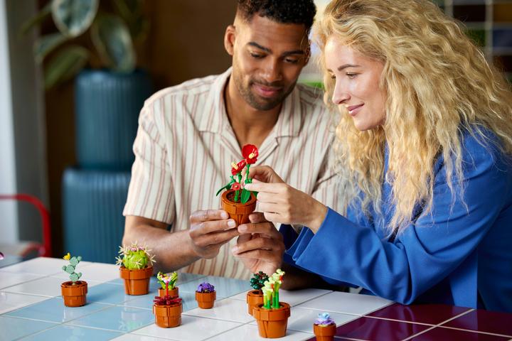 Immagine prodotto LEGO Mini piante (10329, LEGO Botanical, LEGO Icons)