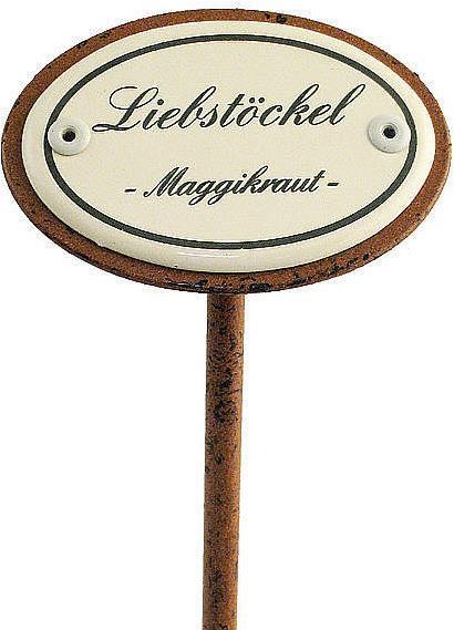 Image du produit Münder Plume d'épice livèche (20 cm)