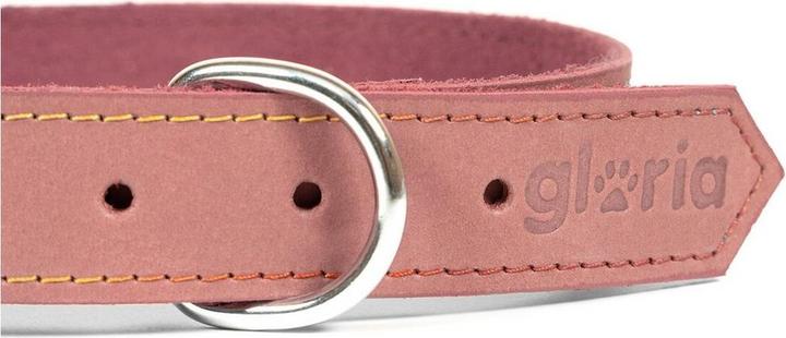 Image du produit Gloria Collier pour chien Oasis Rose 35 cm (1,2 x 35 cm) (Cuir)
