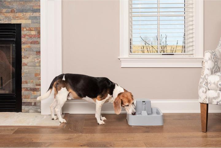Immagine prodotto Sportdog Fontana per animali domestici Drinkwell da 3,7 litri - Adattatore UE (3.70 l)