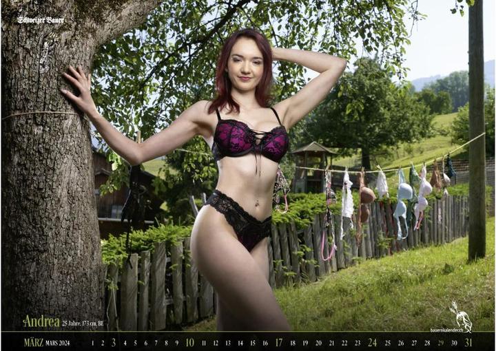 Actual product image Swiss farmers' calendar (56 x 40 cm, No binding, French, German)