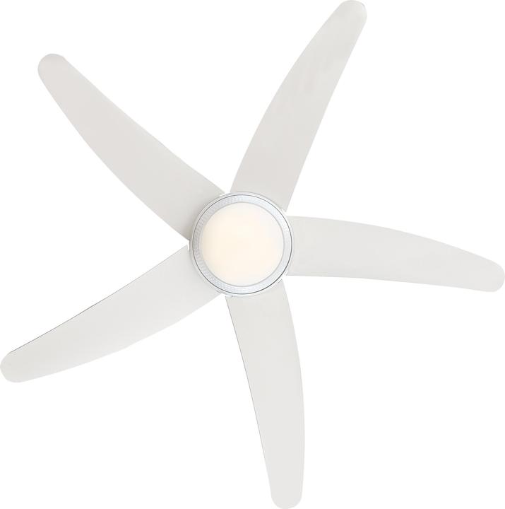 Actual product image Westinghouse Bendan (50 dB)