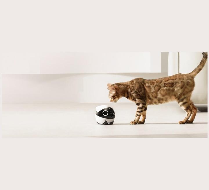 Produktbild Enabot Rola Mini Companion Robot (2304 x 1296 Pixels)