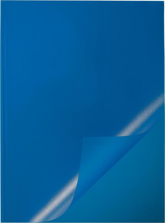 Immagine prodotto Durable Coperture delle guide di bloccaggio (A4, 50 x)