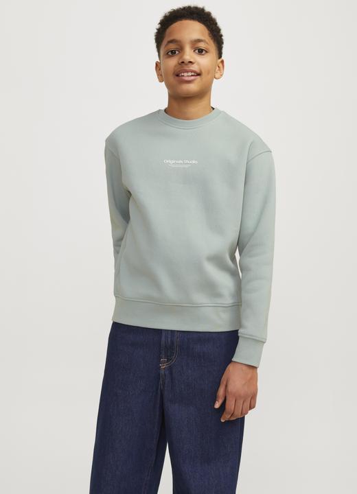 Immagine prodotto Jack & Jones Jorvesterbro Sweat Crew Neck Bn Mni (110)