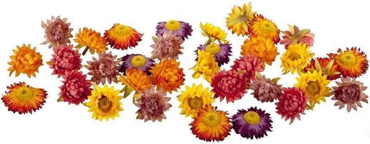 Dekomat Strohblüten (21 cm)