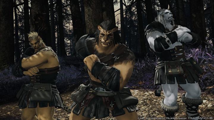 Actual product image Square Enix Final Fantasy XIV: Shadowbringers PS4 (PS4, DE)