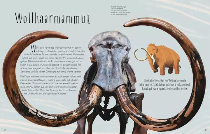 Produktbild Wundervolle Welt der Dinosaurier und der Urzeit (Deutsch, Anusuya Chinsamy-Turan, 2022)