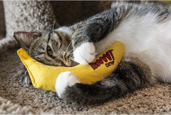 Produktbild Yeowww Banane 18cm mit Katzenminze gefüllt (Katzenminzespielzeug)
