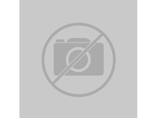 Image du produit Testo Appareil de mesure du réfrigérant 550 Set de tuyaux de remplissage
