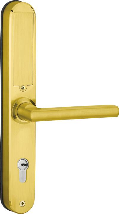 Image du produit Thirard Poignee electronique "multi" ea85mm - finition gold