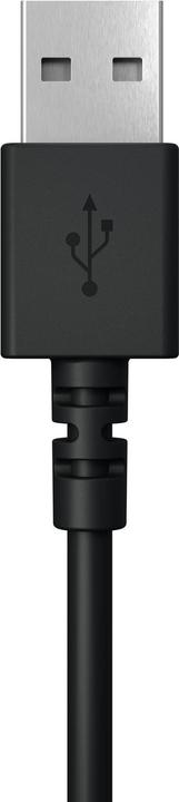 Actual product image Logitech H390 (Cable, USB-A)