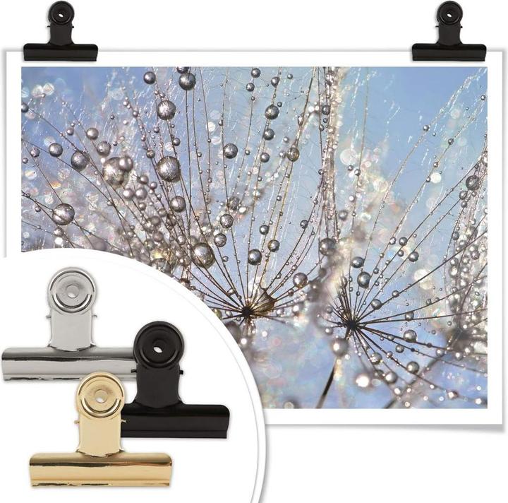 Image du produit Trenddeko Goutte d'eau dans le pissenlit (80 x 60 cm)