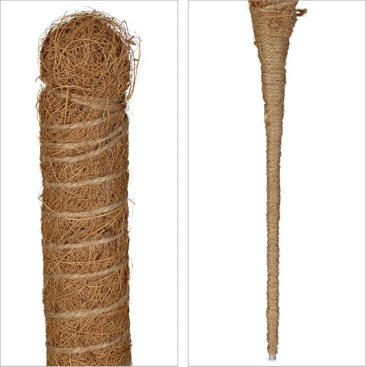 Image du produit Relaxdays Tiges de coco (3 cm, 3 cm)