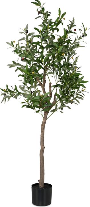 Productafbeelding Relaxdays Olivenbaum (90 cm)