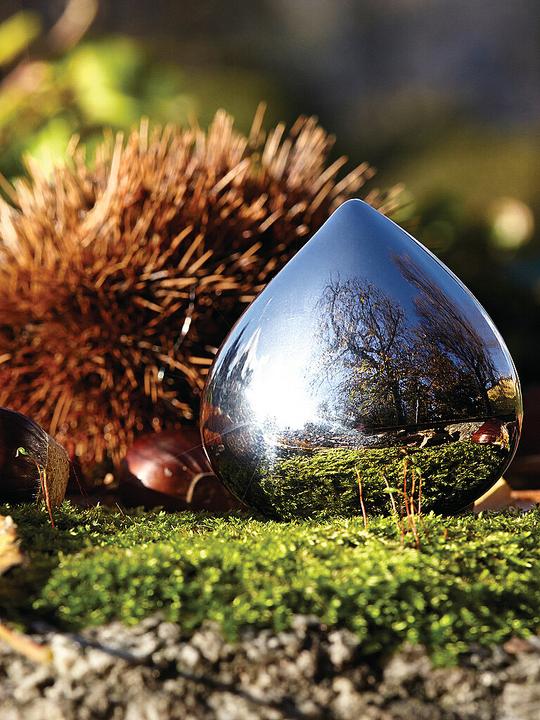Image du produit Alessi Boîte à pilules Chestnut