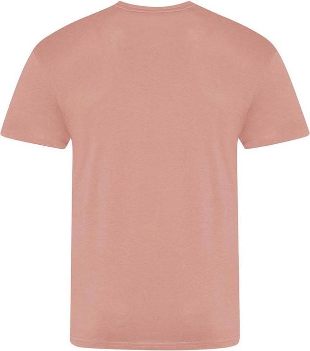 Image du produit Awdis The 100 Tshirt (XXL)