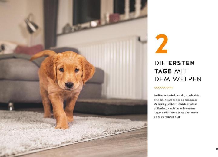 Immagine prodotto Der Welpen-Alltags-Helfer (Tedesco, Petra Frey, 2023)