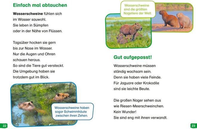Actual product image Tessloff WAS IST WAS Erstes Lesen easy! Band 18. Tiere im Regenwald (German, Sonja Meierjürgen, Marie Gerstner, 2024)