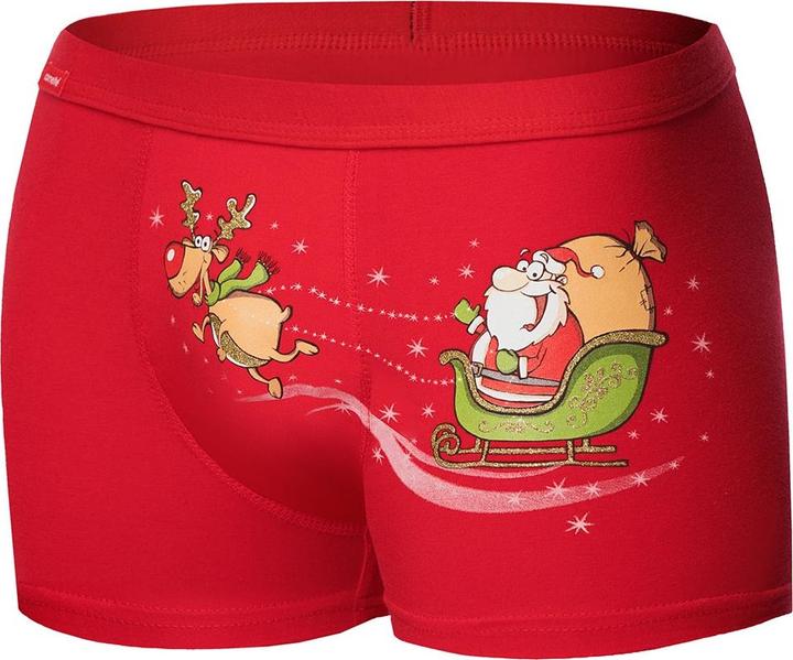 Corvette Boxershorts model 173088 (XXL)