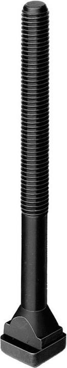 Actual product image Amf T-groove screw (1 Screws per piece)