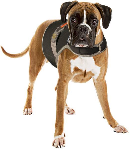 Actual product image Seecurity USB Neoprene Light Vest, L (L, Dog coat)