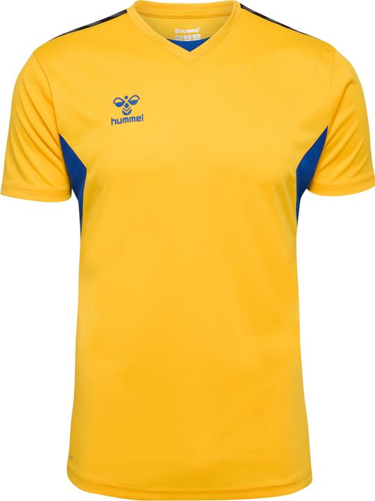 hummel hmlAUTHENTIC PL JERSEY S/S